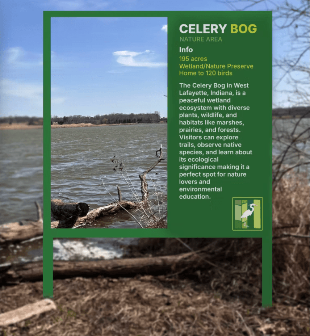Celery Bog design